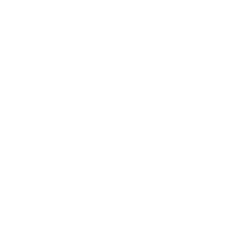 Noanet Ethernet Services